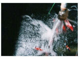 kunne poru / NIIGATA