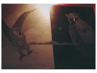 kunne poru / NIIGATA