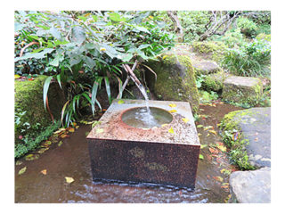 ∀KIKO EXHIBITION & ARTGYPSY ARTSHOW 2021