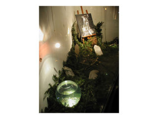 共存 vol.2 / 2005.12.29 ～ 2006.01.15