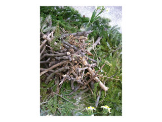 共存 vol.2 / 2005.12.29 ～ 2006.01.15