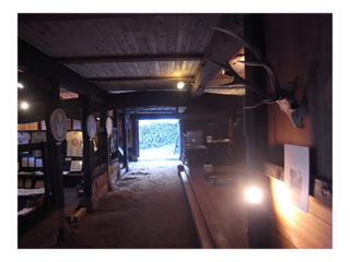 RED DATA ANIMALS ARTGYPSY TOUR 2012  / 2012.6～2012.12