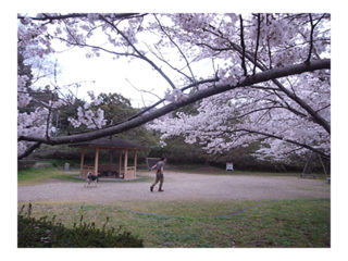 ARTGYPSY TOUR 2017 SUPER PEACE Vol.3-REAL-