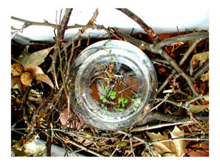 共存 vol.3 / 2006.11.19 ～ 2006.12.01