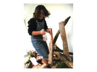 共存 vol.3 / 2006.11.19 ～ 2006.12.01