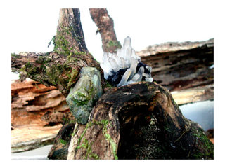 共存 vol.3 / 2006.11.19 ～ 2006.12.01