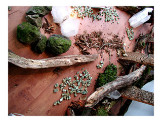 共存 vol.3 / 2006.11.19 ～ 2006.12.01