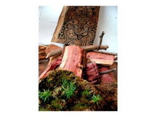 共存 vol.3 / 2006.11.19 ～ 2006.12.01