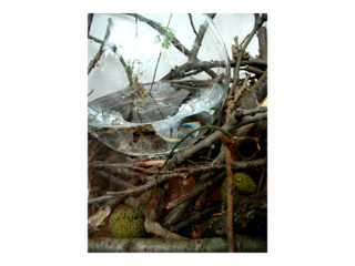 共存 vol.3 / 2006.11.19 ～ 2006.12.01