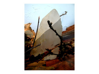 共存 vol.3 / 2006.11.19 ～ 2006.12.01