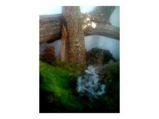 共存 vol.3 / 2006.11.19 ～ 2006.12.01