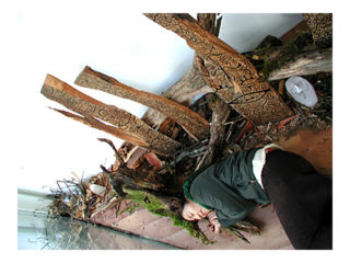 共存 vol.3 / 2006.11.19 ～ 2006.12.01