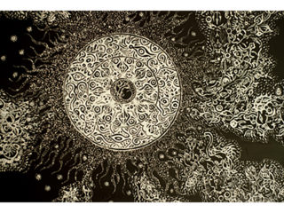 ∀KIKO EXHIBITION IN YAKUSHIMA＋SAGA   / 2010.05.21 ～ 06.06