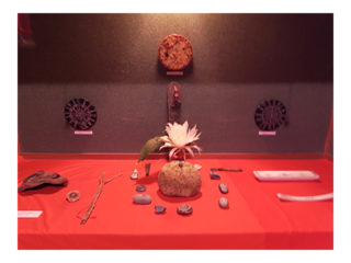 ∀KIKO EXHIBITION IN YAKUSHIMA＋SAGA   / 2010.05.21 ～ 06.06