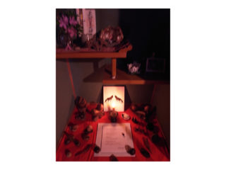 ∀KIKO EXHIBITION IN YAKUSHIMA＋SAGA   / 2010.05.21 ～ 06.06