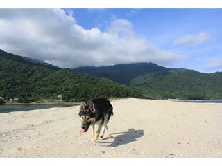 ∀KIKO EXHIBITION IN YAKUSHIMA＋SAGA   / 2010.05.21 ～ 06.06