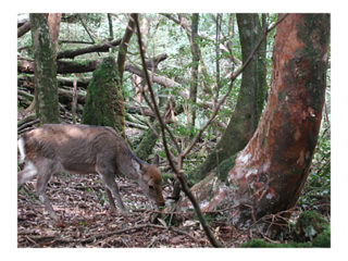RAINBOW PRAYERS  / 2009.03.20