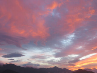 ジェーン・グドール