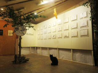 wor un nociw 水の星